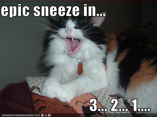 epic-sneeze.jpg